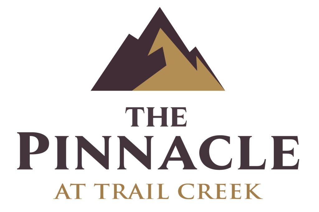 The Pinnacle Logo